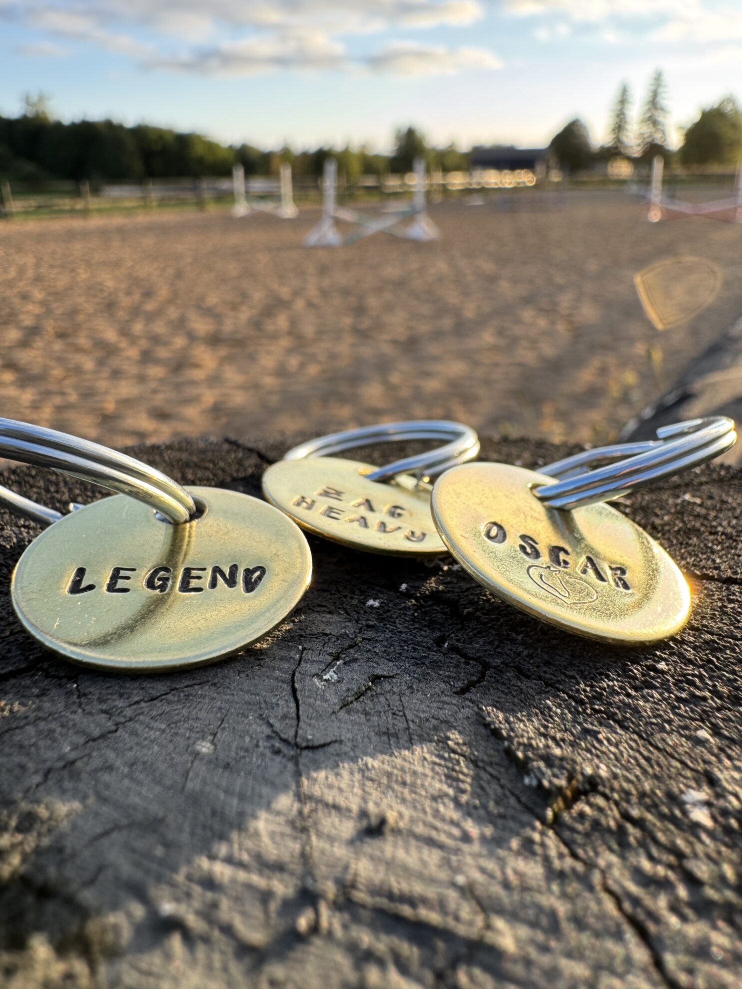Equitagz - Tags for Horses